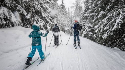 Course Youth Cross Country Ski Lessons image 1