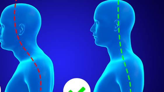 Picture for: Posture & Osteoporosis Workshop: Building Better Bones