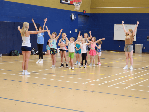 Course Chanhassen Varsity Sideline Cheer - Parade Camp image 1