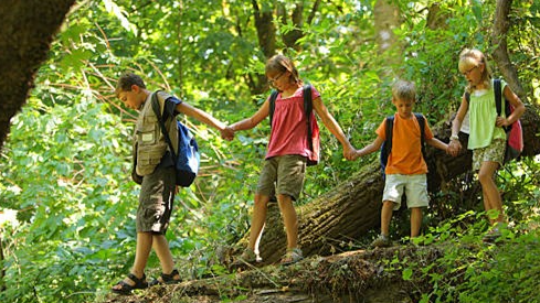 Course Forest Play Club image 1