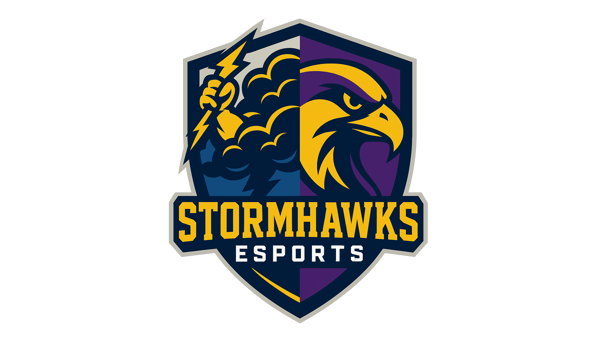 Course E-Sports Spring Club image 1