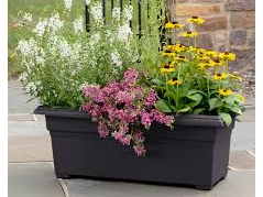 Picture for: Countryside Container Garden - Magnifying Abilities