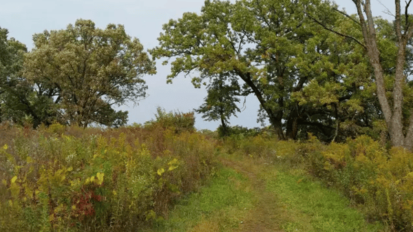 Picture for: Rapids Lake Scavenger Hike - Magnifying Abilities
