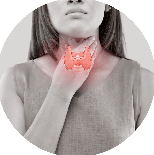 Picture for: Thyroid Things You Need to Know (Online)