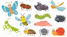 Course Little Eagles Summer ECFE: Bugs image 1