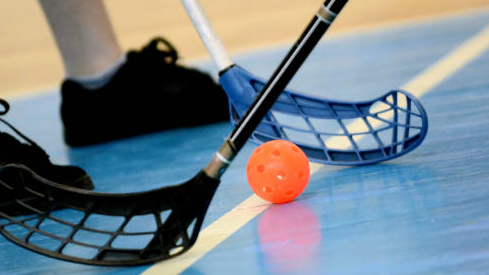 Image for Floor Hockey