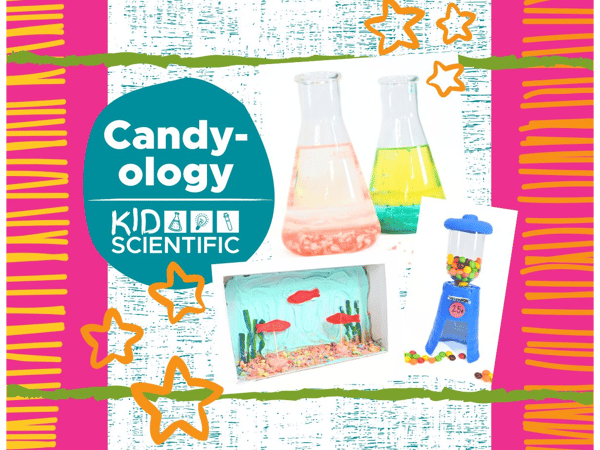 Course Candyology image 1