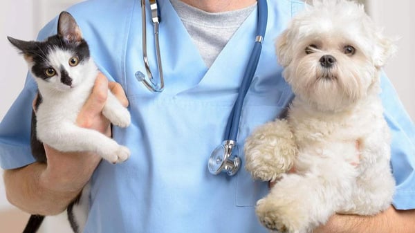 Picture for: Animal Care Academy