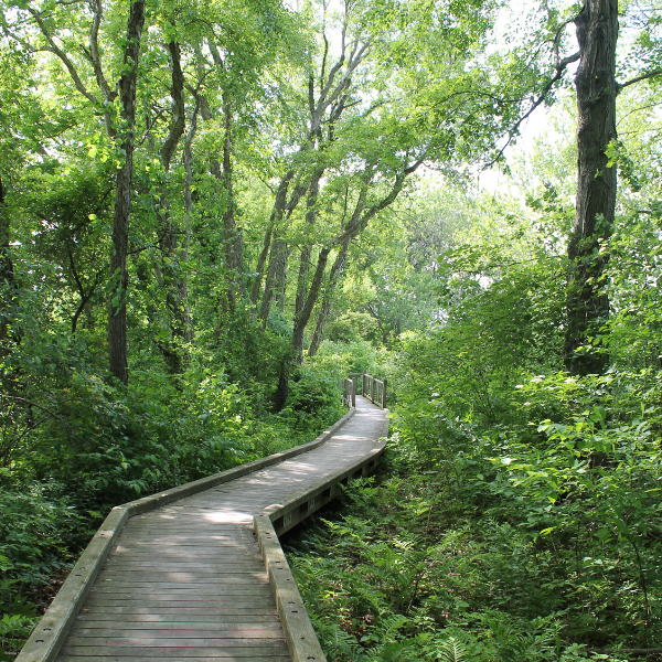 Picture for: AWD-Nature Club