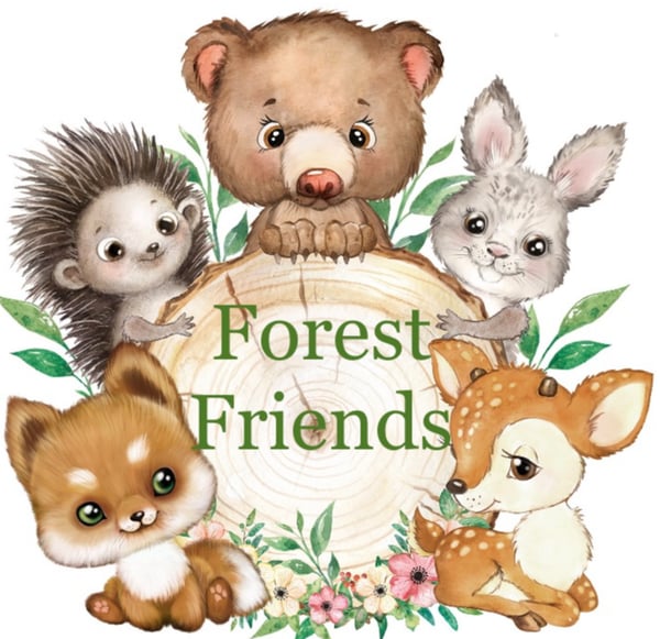Picture for Camp Forest Friends