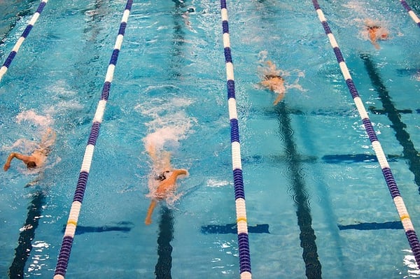 Picture for: Lap & Open Swim