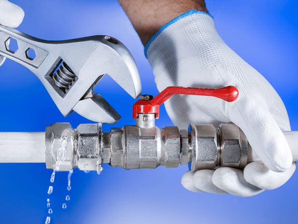 Course Basic Home Repair - Plumbing image 1