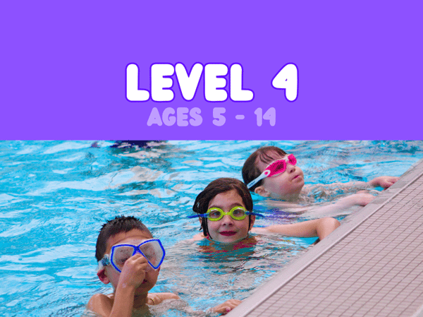 Picture for: Level 4