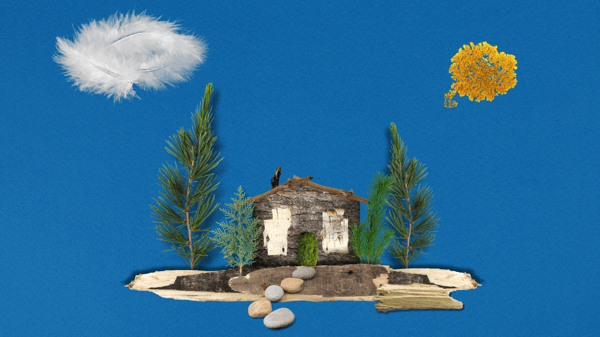 Picture for: Nature Collage