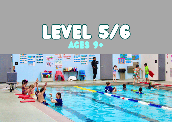 Picture for: Level 5/6 (Ages 9+)