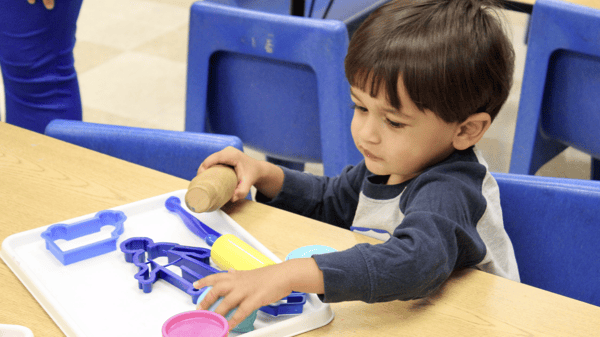 Picture for: Sibling Care-Twos Class 201
