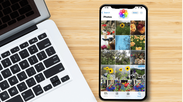 Picture for: Phone Photo Rescue: Advanced Tricks to Save You Time! (Online Class)