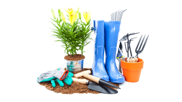 Course Dig In! Gardening 101: Tools, Tips & Techniques image 1