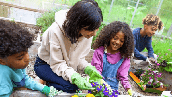 Picture for: Ready, Set, Grow