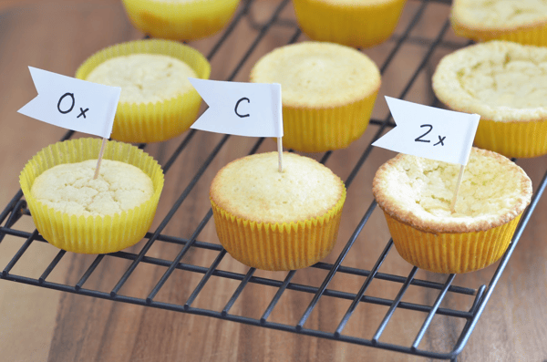 Picture for: Cake Bake Taste Test Camp