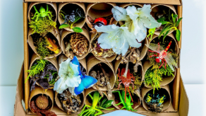 Course Build A Bug Hotel image 1