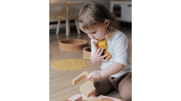 Picture for Sibling Care-Toddler Class 101