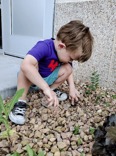 Picture for: Critters & Creatures: Bug-tastic + Amazing Animals