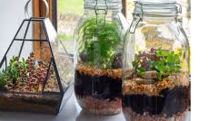 Picture for: 3-4 Doodle & Grow: Art From the Heart + Terrific Terrariums