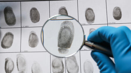 Course The Crime Solver's Toolbox: The Mystery of Forensics + Codebreakers image 1