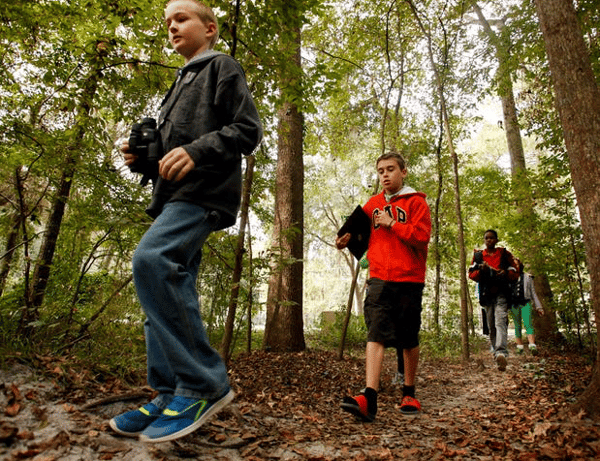 Picture for: Eco Adventurers: Nature Sleuths + Campfire Commanders