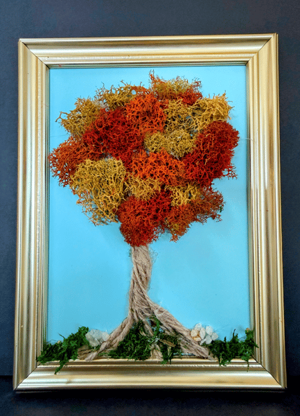 Picture for: Autumn Art Adventures: Moss Trees & Button Blossoms