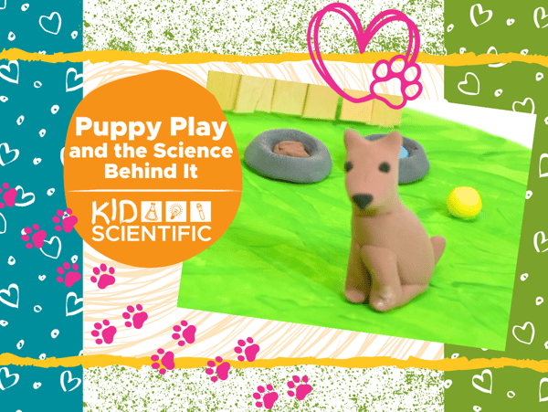 Picture for: Puppy Play & the Science Behind It with Kidcreate Studio