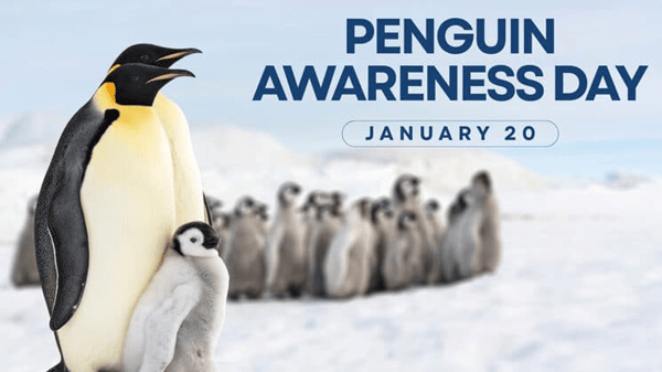 Picture for: Sinking/Floating Penguins