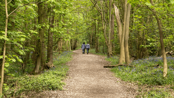 Picture for: Nature Walk