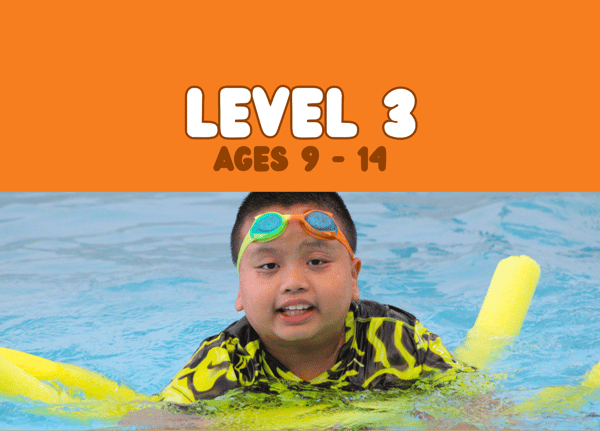Picture for: Level 3, Ages 9+
