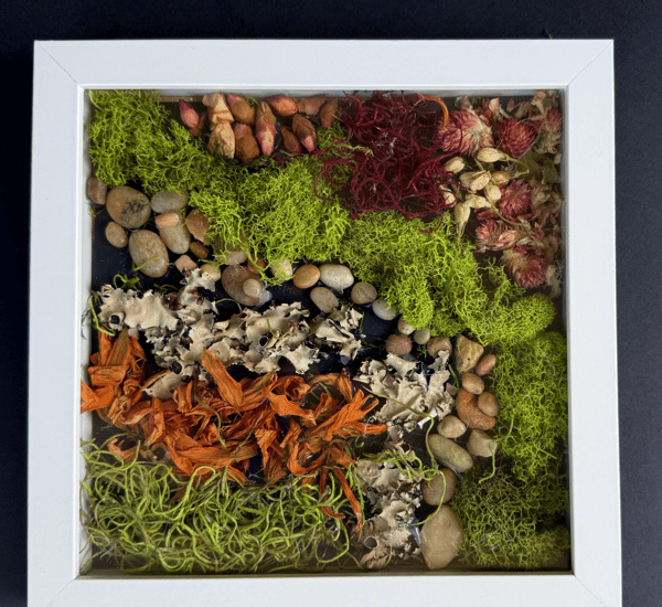 Picture for: Moss Magic: Nature Art Creations