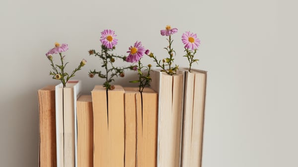 Picture for: Beginner's Guide to Getting Published (Online Class)