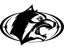 Picture for: Raider Boys Hoops Academy