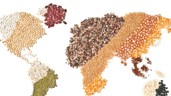 Picture for: Food from Around the World