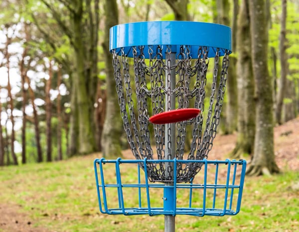 Picture for: Disc Golf