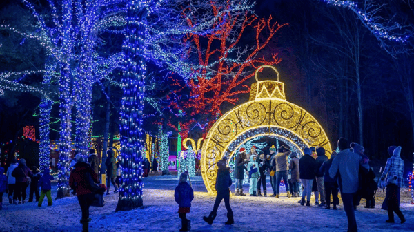 Course Holiday Lights Tour & Supper Club- Miracle at Big Rock- Adult Day Trip image 1