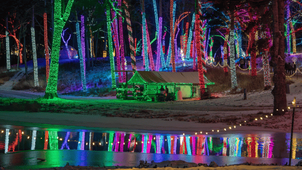 Course Holiday Lights Tour & Supper Club- Miracle at Big Rock- Adult Day Trip image 2