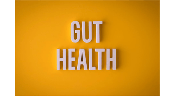 Course Happy Gut, Healthy You image 1