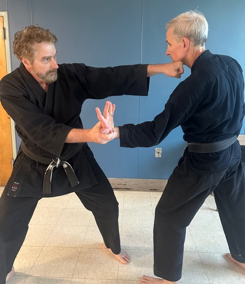 Picture for: Matsubayashi Shorin-Ryu Karate