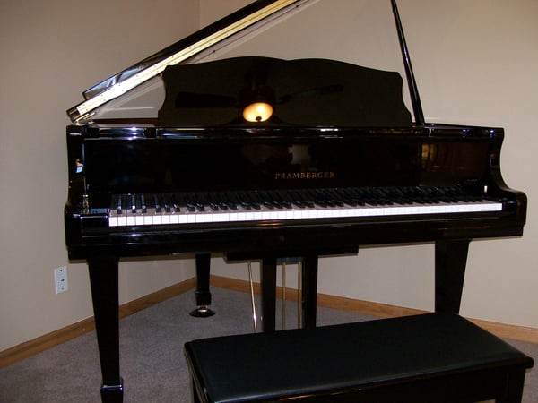 Picture for Instant Piano for Hopelessly Busy People