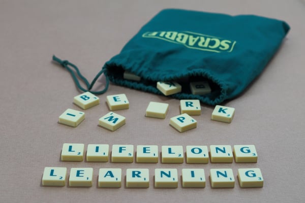 Picture for Lifelong Learning
