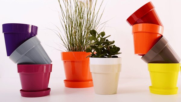Course Growing Vegetables in Containers: A How-To Guide image 2