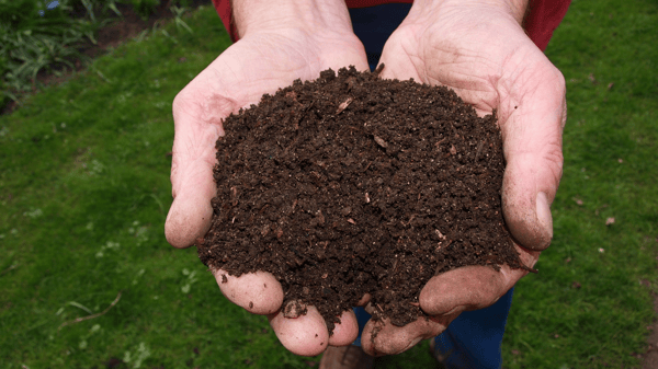 Course Backyard Compost image 1