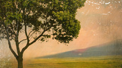 Course Oil Painting image 1