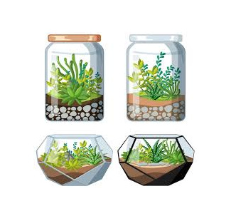 Course Introduction to Making Terrariums image 1